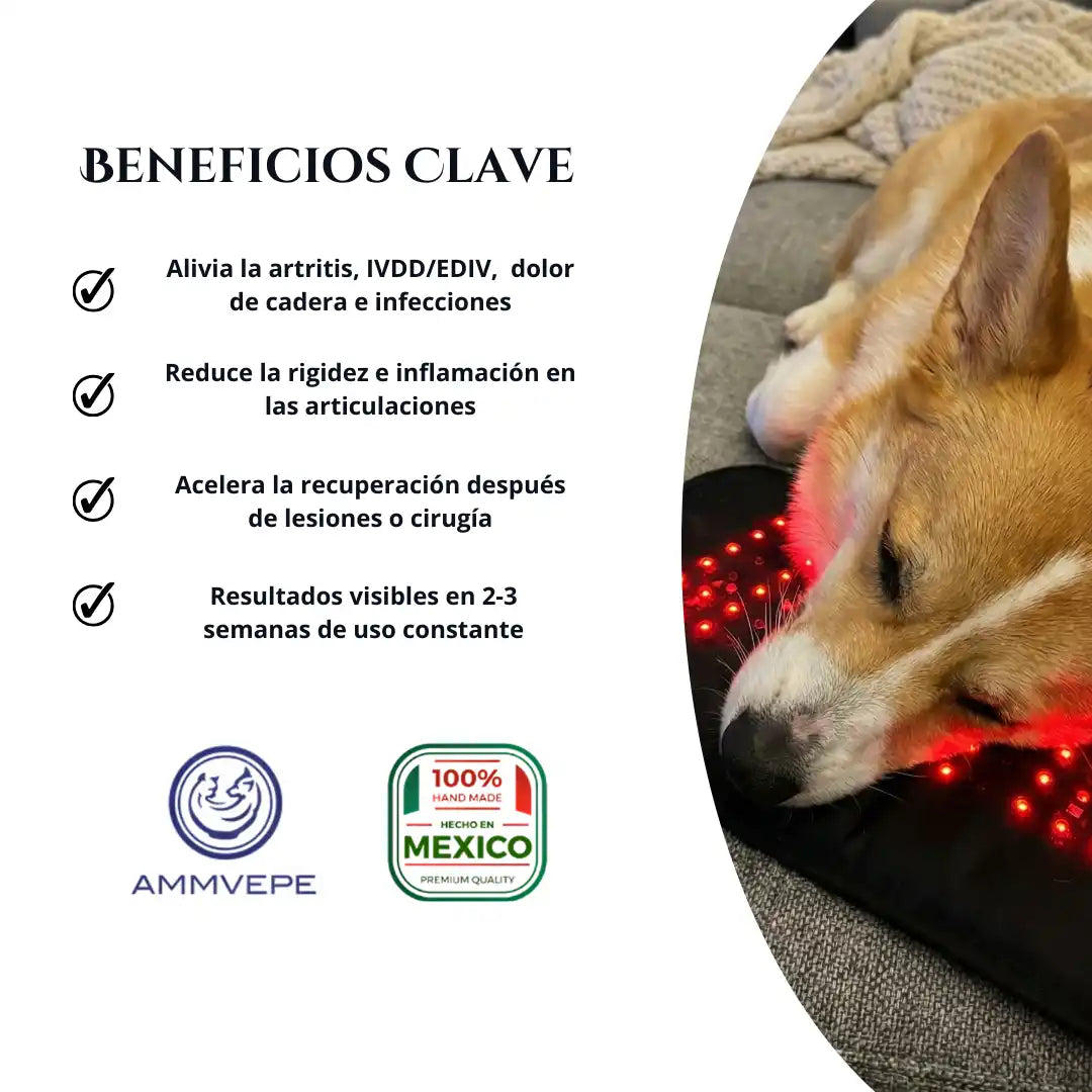 Kit Dispositivo de Luz Roja