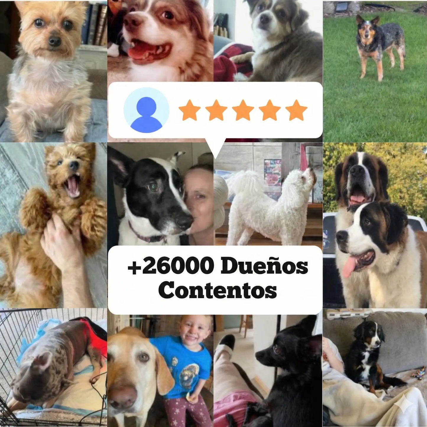 LumaVet™ Dispositivo de Luz Roja para IVDD y Artrosis