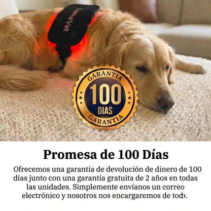 LumaVet™  Kit Terapia de Luz Roja