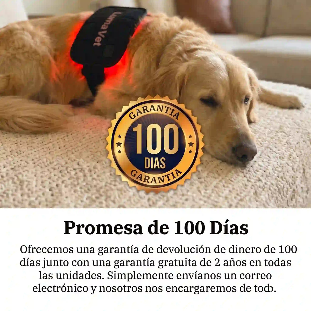 LumaVet™  Kit Terapia de Luz Roja