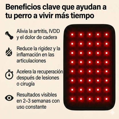 LumaVet™ Dispositivo de Luz Roja para IVDD y Artrosis