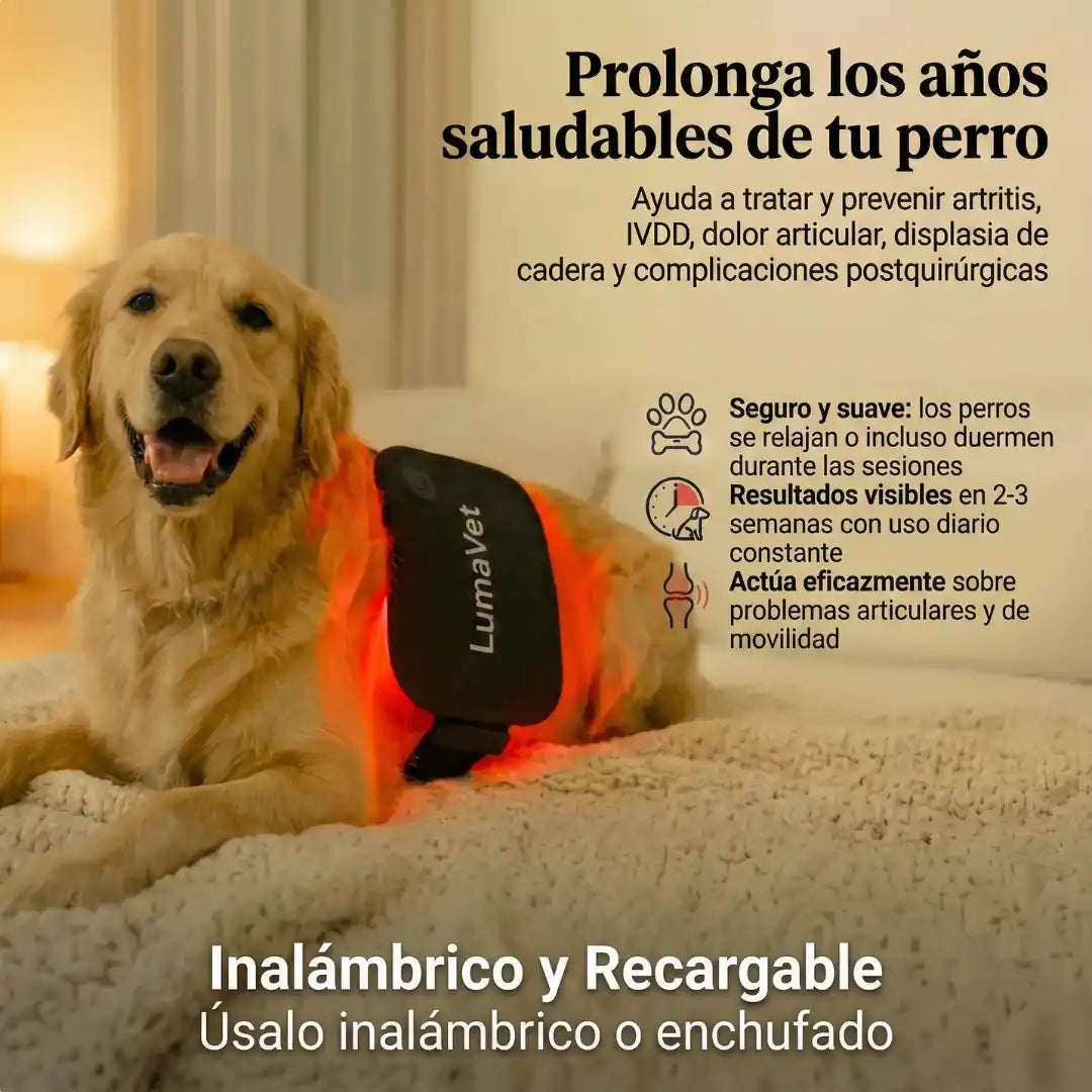 LumaVet™ Dispositivo de Luz Roja para IVDD y Artrosis