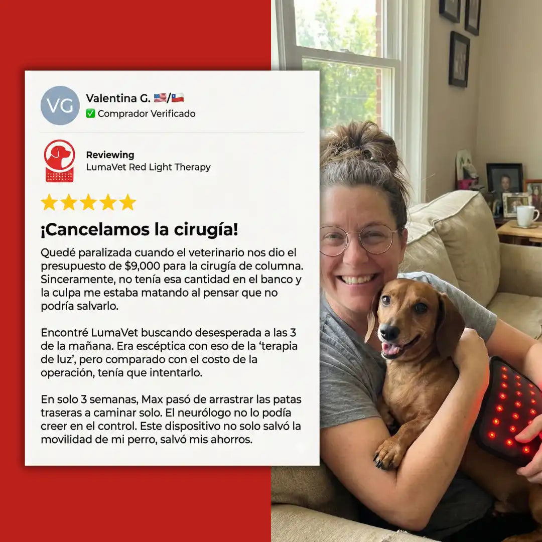 LumaVet™ Dispositivo de Luz Roja para IVDD y Artrosis