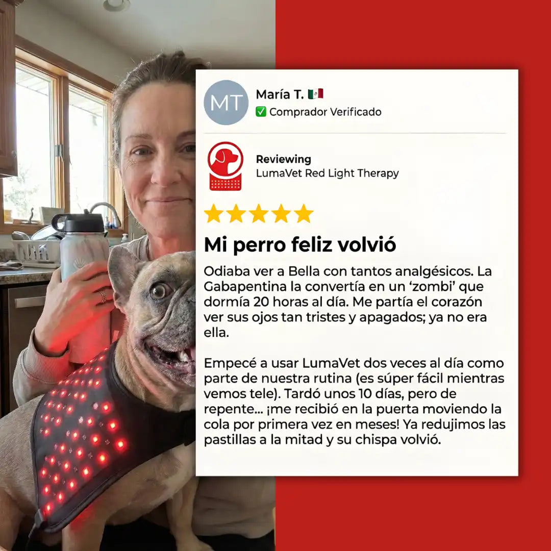 LumaVet™ Dispositivo de Luz Roja para IVDD y Artrosis
