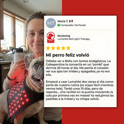 LumaVet™ Dispositivo de Luz Roja para IVDD y Artrosis